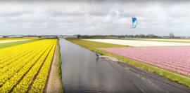 Kiteboarding In Dutch Flowers