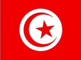 Du kite en Tunisie